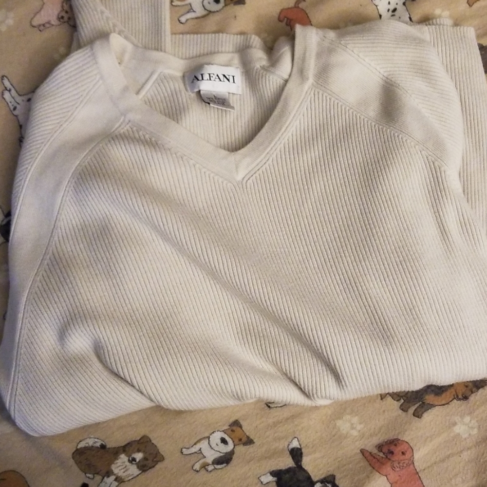 Alfani long sleeve sweater